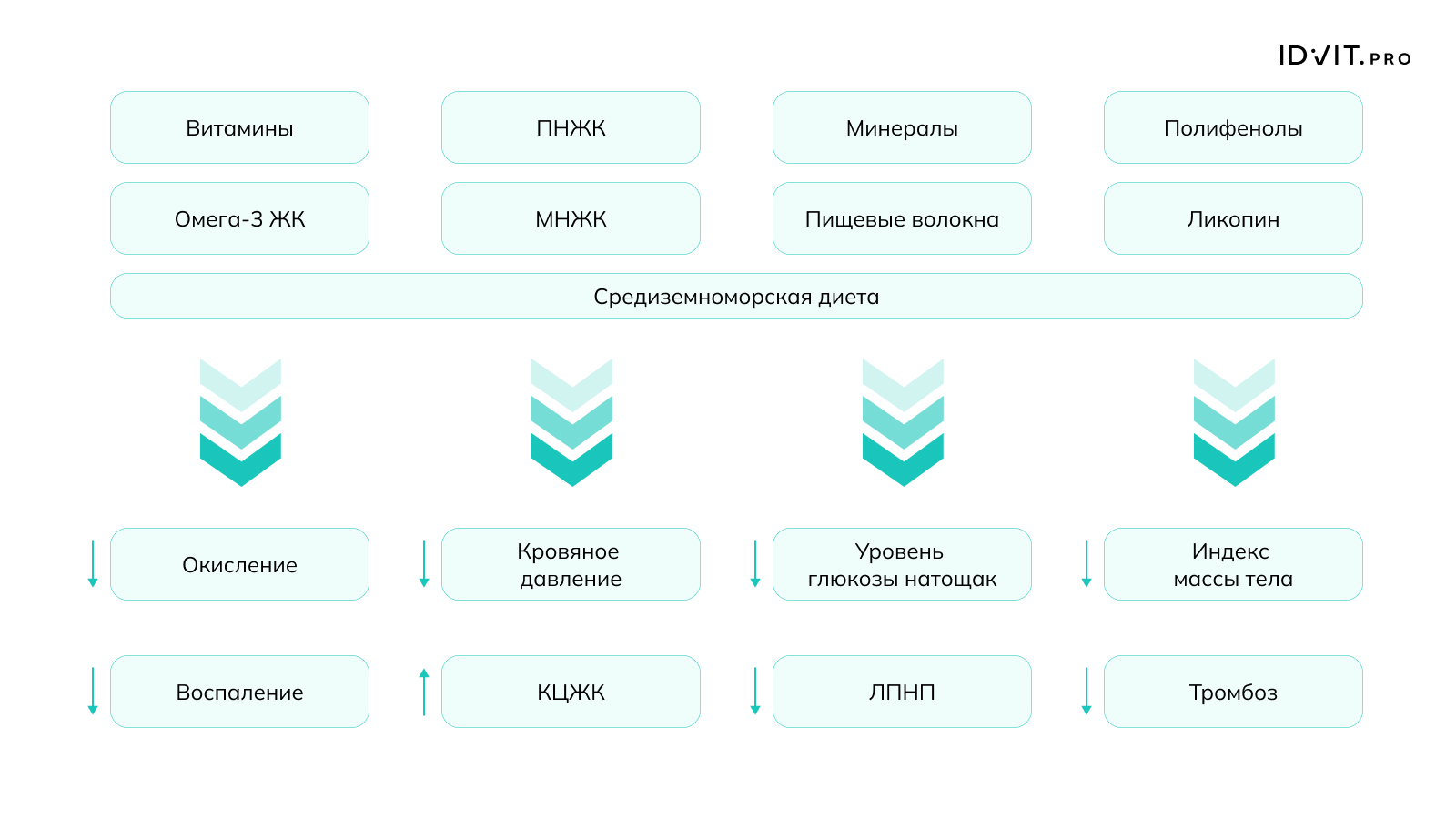 newsCardImg