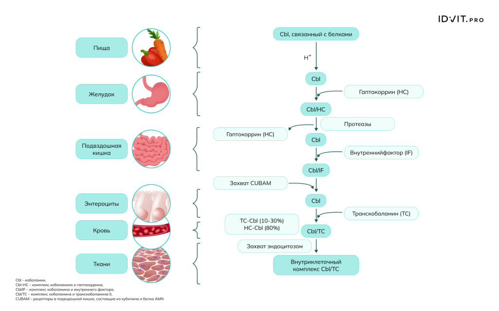 Рисунок 3.jpeg Рисунок 3.jpeg