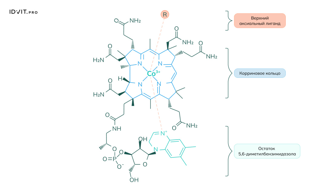 Рисунок 1.jpeg Рисунок 1.jpeg